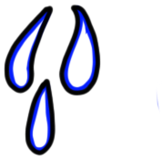 Image of the occurrence